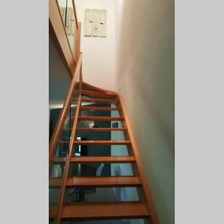 Superbe Duplex Au Nouveau Bassin Avec Vue Superbe Mulhouse Dış mekan fotoğraf