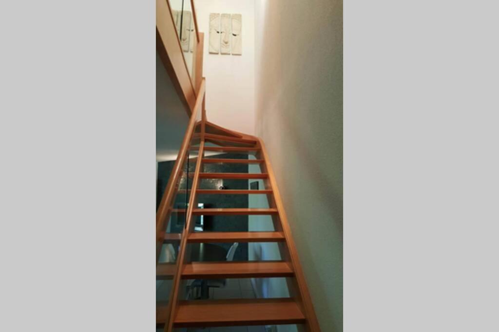Superbe Duplex Au Nouveau Bassin Avec Vue Superbe Mulhouse Dış mekan fotoğraf