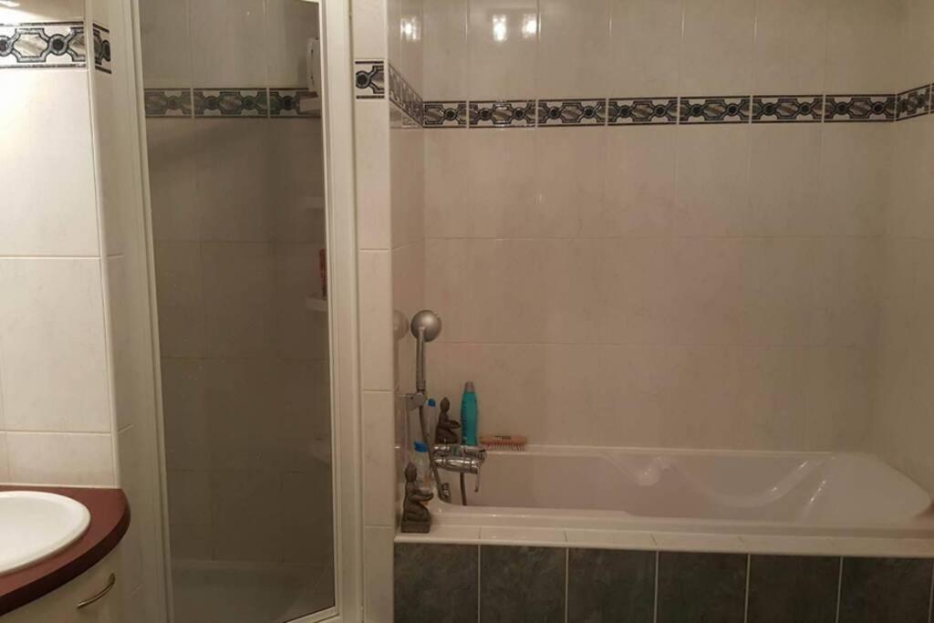 Superbe Duplex Au Nouveau Bassin Avec Vue Superbe Mulhouse Dış mekan fotoğraf